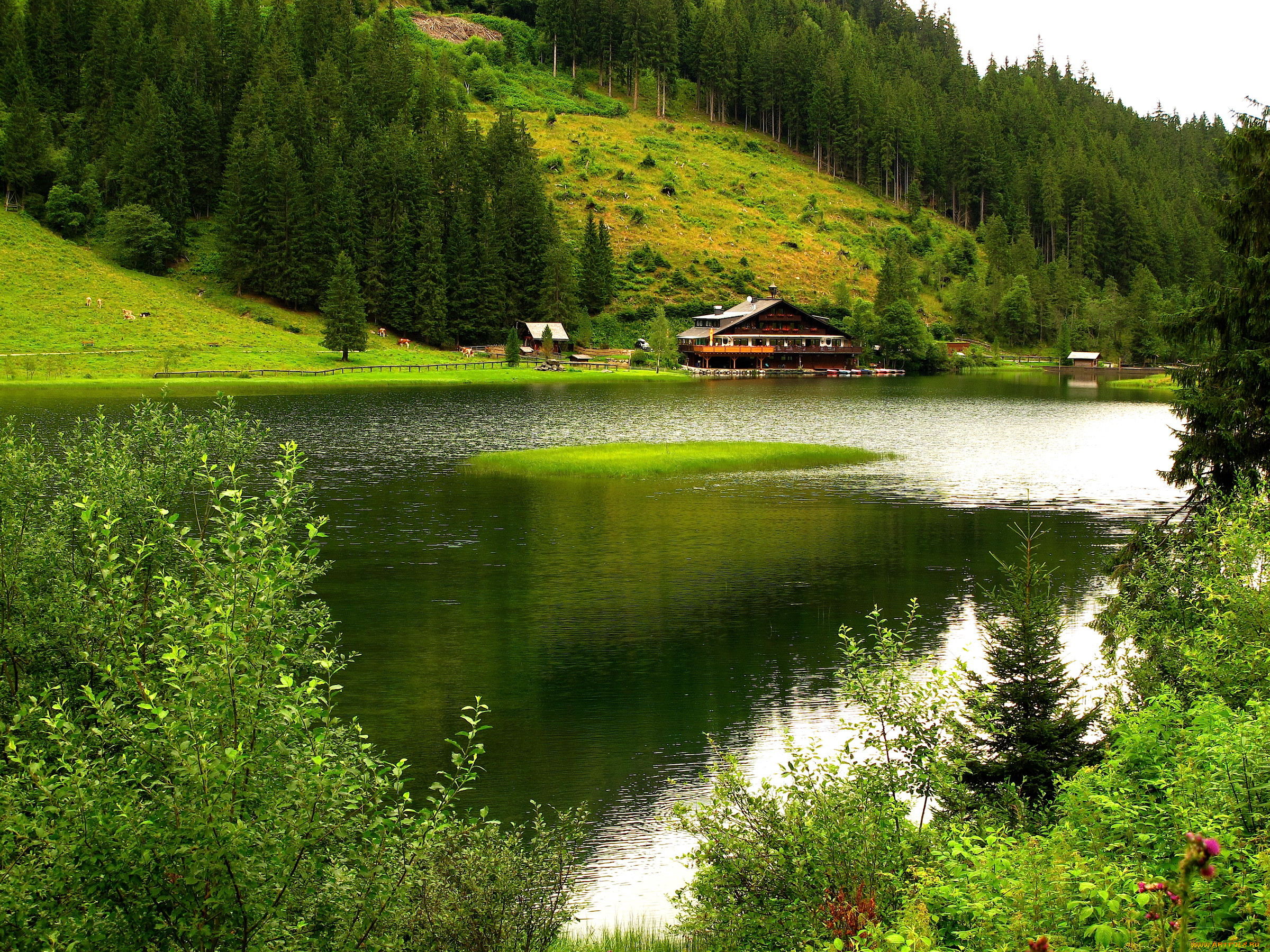 Озеро в домашних условиях. Дом у реки горы а в деревне. Швеция озеро, лес, луг, домик, горы. Природа река. Дом в лесу у реки.